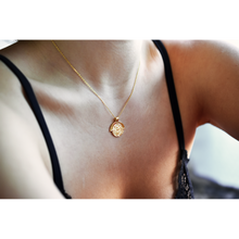 Load image into Gallery viewer, Armor Necklace
